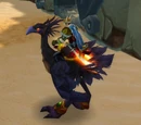 Black Hawkstrider