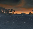 Bone Wastes