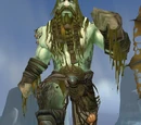Kvaldir Crewman