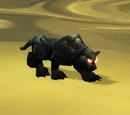 Enchanted Onyx