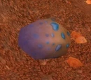 Highperch Wyvern Egg