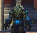 Stormcaller Brundir