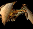 Bronze drake