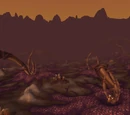 Hive'Regal