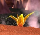 Incendia Agave
