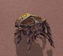 Temple Scarab