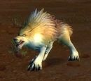Crag Coyote
