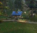 Chillwind Camp