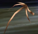 Withered Batwing