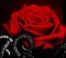 Deathrose