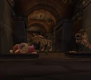 Library (Ironforge)