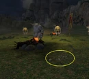 Lore and Legend: Minotaur