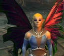 Ambassador Anttel V'Xeath