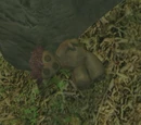 Locate the Misfit Toy