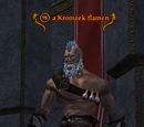 A Kromzek flamen