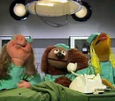Veterinarian's Hospital