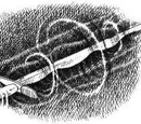 Rapscallion Sword