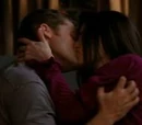 Relación:Will y Shelby