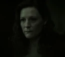 Lily Evans