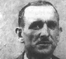Ślepy Antek