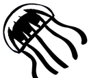 Club Jellyfish