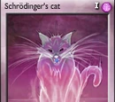 Schrödinger's Cat (Upgraded)