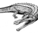 Sarcosuchus