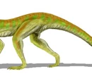Terrestrisuchus