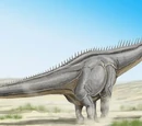 Sauropoda