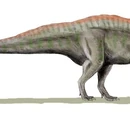 Acrocanthosaurus