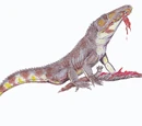 Ditrochosaurus