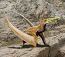 Pterosauria