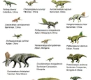 Evolution