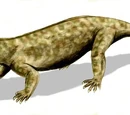 Cynodontia