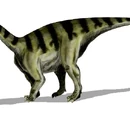 Sellosaurus