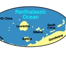 Middle Cambrian