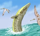 Dakosaurus