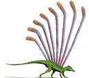 Longisquama