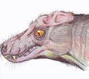 Porosteognathus
