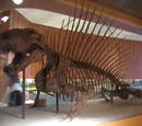 Synapsida