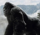 King Kong
