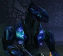 Sangheili Minor
