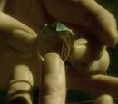 Anello di Orvoloson Gaunt