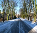 Kasztanowa (ulica)