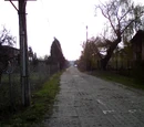 Piotra Skargi (ulica)