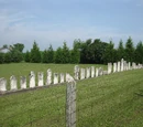 White Cemetery