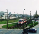 Dębiec