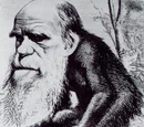 Evolutionary psychology