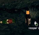 Beer bottles