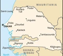Senegalese Cuisine